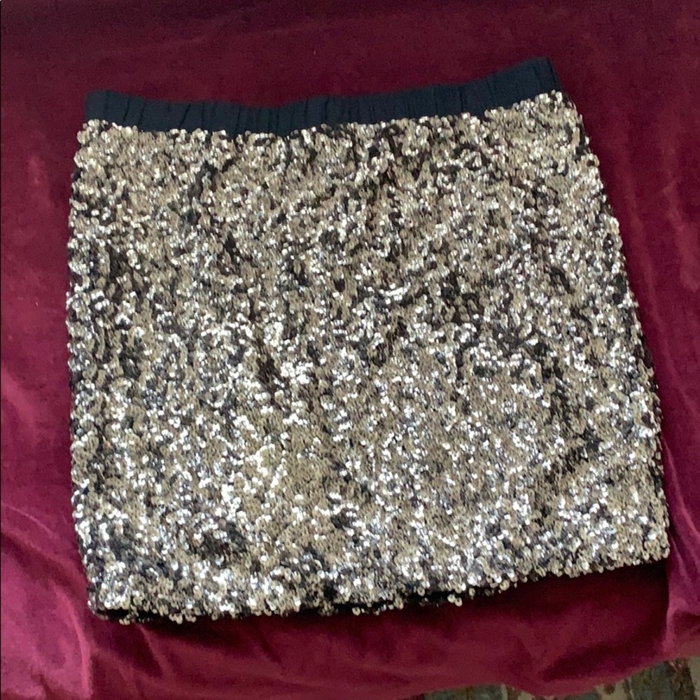 Sequin Skirt